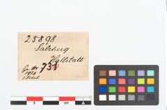 Etikett zu Bronzepaukenfibel (NHMW-PRAE-025898)